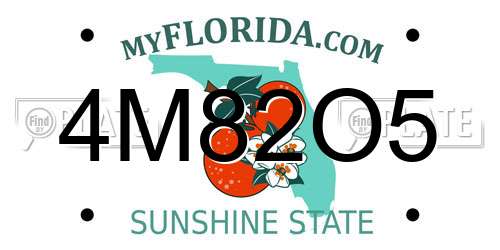 4M82O5 Florida License Plate