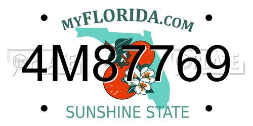 4M87769 Florida License Plate