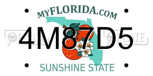 4M87D5 Florida License Plate