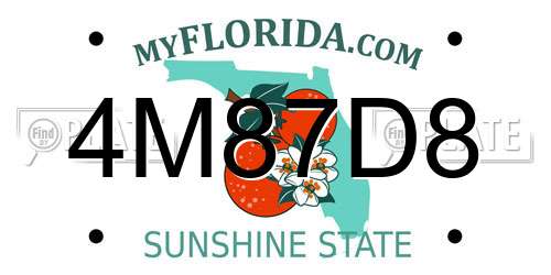4M87D8 Florida License Plate