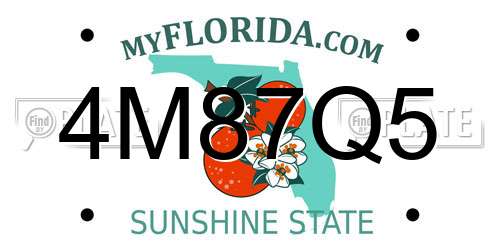 4M87Q5 Florida License Plate