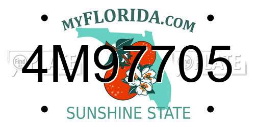 4M97705 Florida License Plate