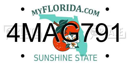 4MAG791 Florida License Plate