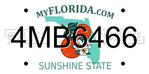 4MB6466 Florida License Plate