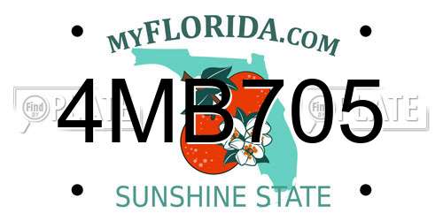 4MB705 Florida License Plate