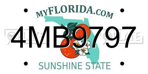 4MB9797 Florida License Plate