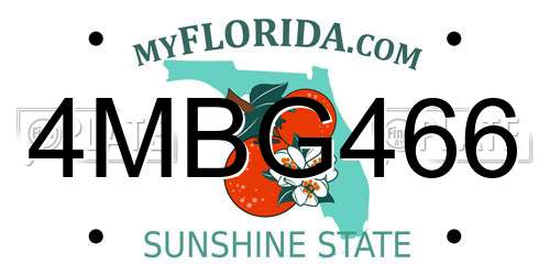 4MBG466 Florida License Plate