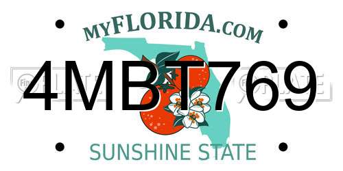 4MBT769 Florida License Plate