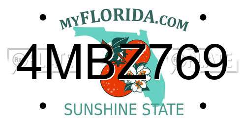 4MBZ769 Florida License Plate