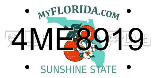 4ME8919 Florida License Plate