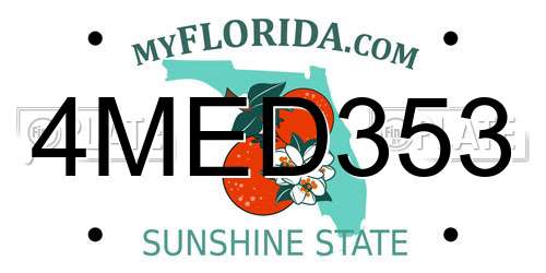 4MED353 Florida License Plate