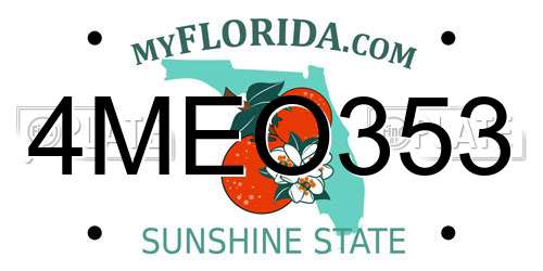 4MEO353 Florida License Plate