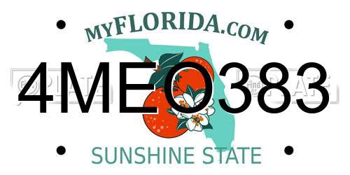 4MEO383 Florida License Plate