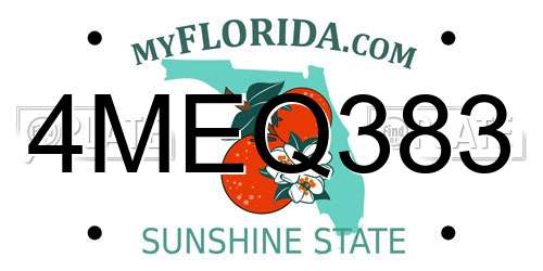 4MEQ383 Florida License Plate