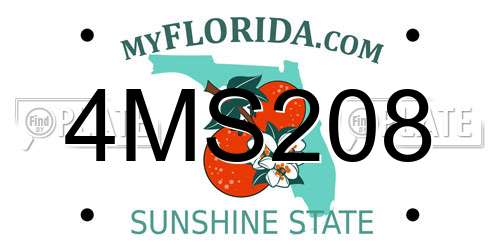 4MS208 Florida License Plate