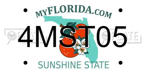 4MST05 Florida License Plate