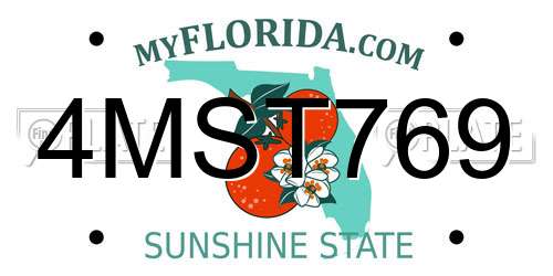 4MST769 Florida License Plate