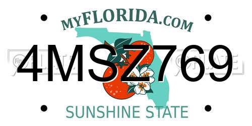 4MSZ769 Florida License Plate