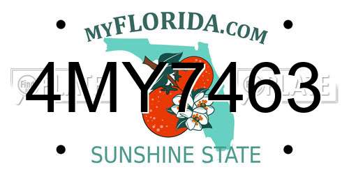 4MY7463 Florida License Plate