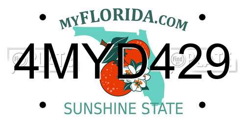 4MYD429 Florida License Plate