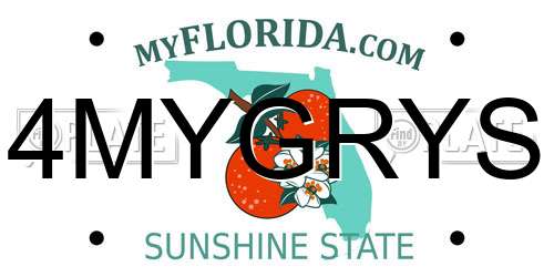 4MYGRYS Florida License Plate