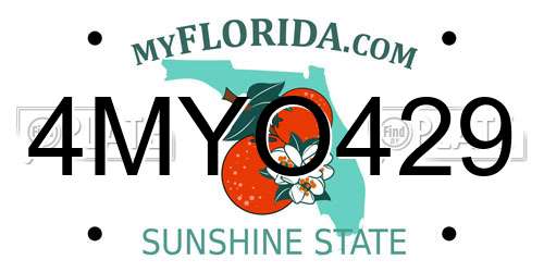 4MYO429 Florida License Plate