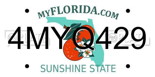 4MYQ429 Florida License Plate