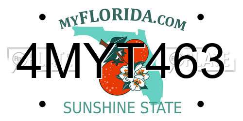 4MYT463 Florida License Plate