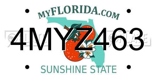 4MYZ463 Florida License Plate