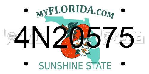 4N20575 Florida License Plate