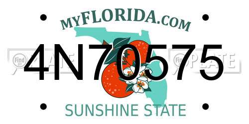 4N70575 Florida License Plate