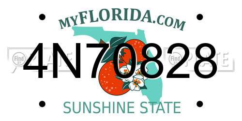 4N70828 Florida License Plate