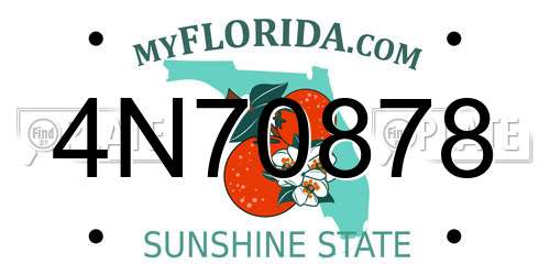 4N70878 Florida License Plate