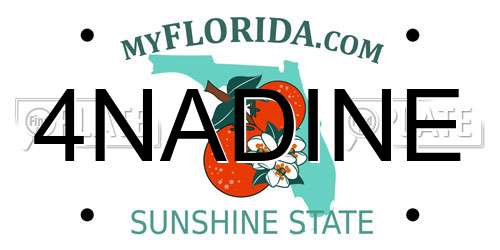 4NADINE Florida License Plate
