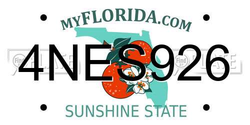 4NES926 Florida License Plate