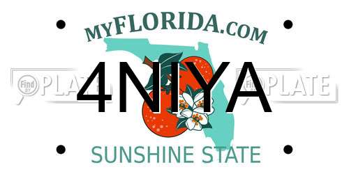 4NIYA Florida License Plate