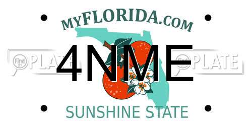 4NME Florida License Plate
