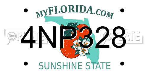 4NP328 Florida License Plate