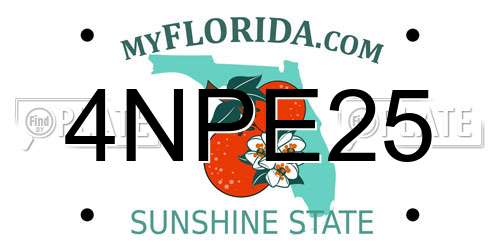 4NPE25 Florida License Plate