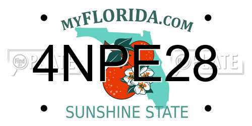 4NPE28 Florida License Plate