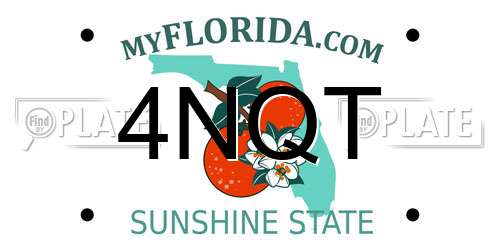 4NQT Florida License Plate