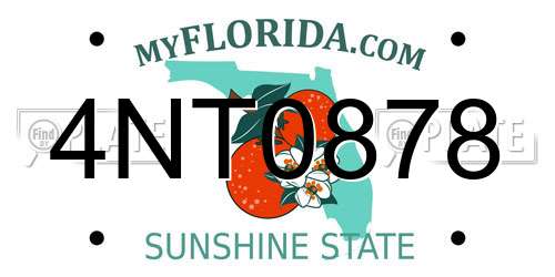 4NT0878 Florida License Plate