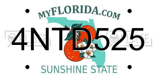 4NTD525 Florida License Plate
