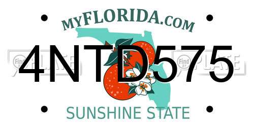 4NTD575 Florida License Plate