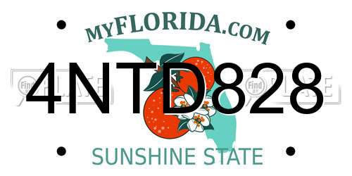 4NTD828 Florida License Plate