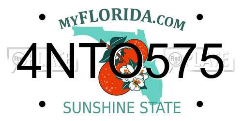 4NTO575 Florida License Plate