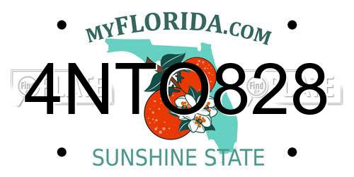 4NTO828 Florida License Plate