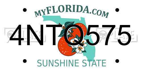 4NTQ575 Florida License Plate