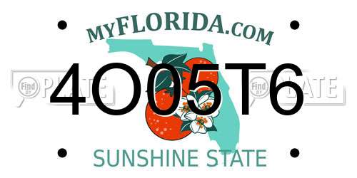 4O05T6 Florida License Plate