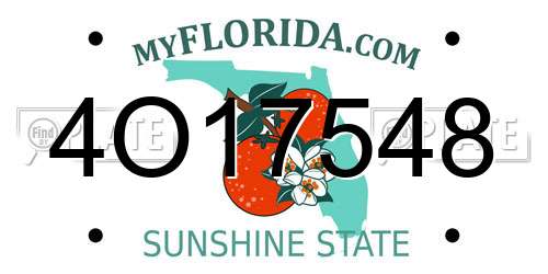 4O17548 Florida License Plate